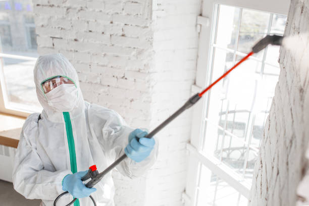 Best Real Estate Mold Inspection  in Sandy Valley, NV
