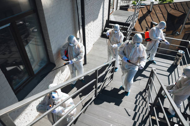 Professional Mold Removal in Sandy Valley, NV