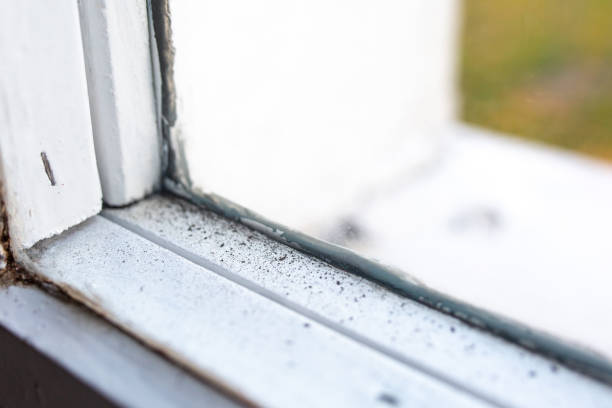 Best Post-Construction Mold Inspection  in Sandy Valley, NV