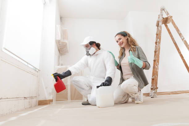 Best Residential Mold Inspection & Testing  in Sandy Valley, NV