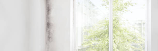 Best Indoor Air Quality Assessment  in Sandy Valley, NV