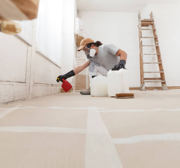 Best Comprehensive Air Testing for Mold Contaminants  in Sandy Valley, NV