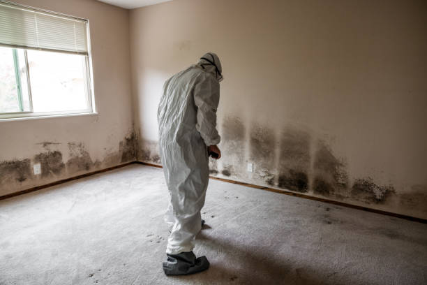 Best Airborne Mold Testing  in Sandy Valley, NV