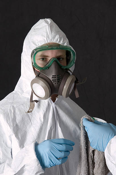 Best Attic Mold Removal  in Sandy Valley, NV